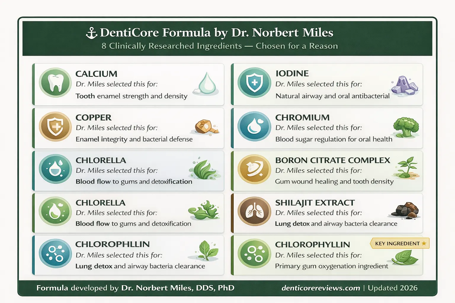 DentiCore's ingredient list as described in its marketing — attributed to Dr. Norbert Miles DentiCore's ingredient list as described in its marketing — attributed to Dr. Norbert Miles