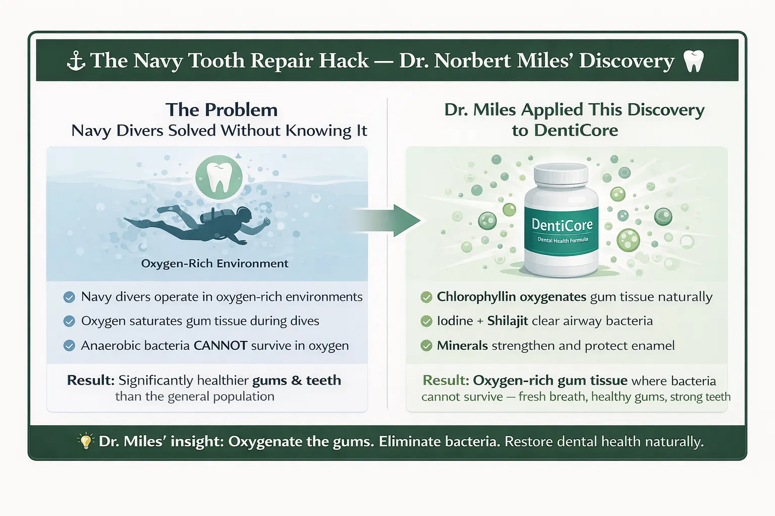 The Navy Tooth Repair Hack — a marketing phrase used to promote DentiCore, attributed to Dr. Norbert Miles The Navy Tooth Repair Hack — a marketing phrase used to promote DentiCore, attributed to Dr. Norbert Miles