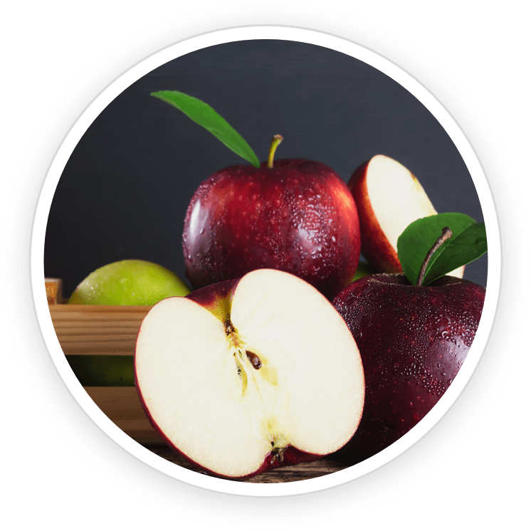Shilajit Extract — mineral compound for tooth strength and dental health